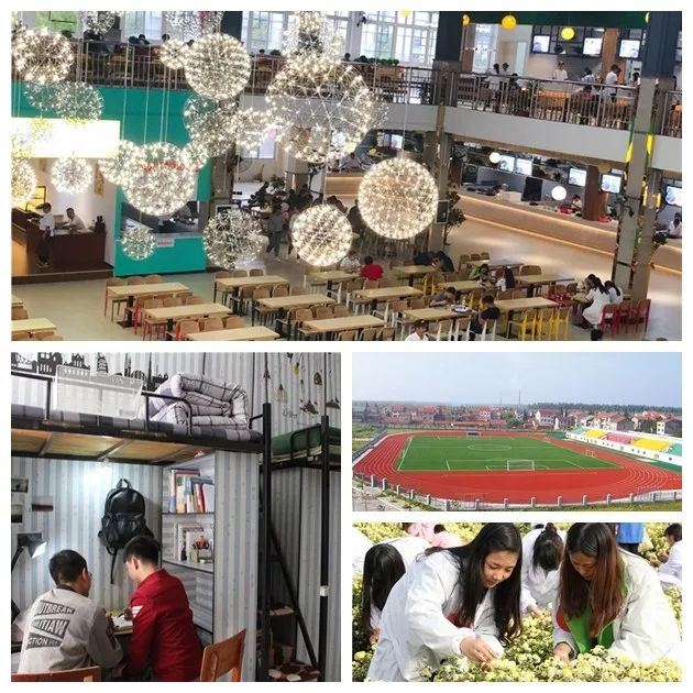 永信贵宾会医疗2019校企合作联合招生简章